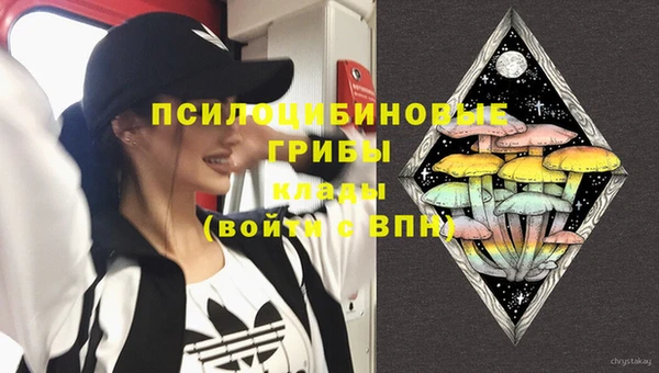 ПСИЛОЦИБИНОВЫЕ ГРИБЫ Армянск
