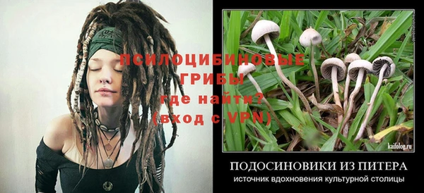 ПСИЛОЦИБИНОВЫЕ ГРИБЫ Армянск