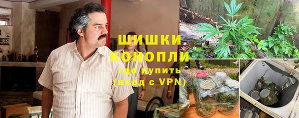 ПСИЛОЦИБИНОВЫЕ ГРИБЫ Армянск