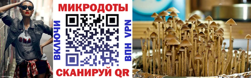 купить наркотики цена  Лесозаводск  гидра ссылки  сайты даркнета Telegram  Галлюциногенные грибы Cubensis 