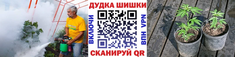 Марихуана OG Kush  блэк спрут как зайти  Лесозаводск  цены  